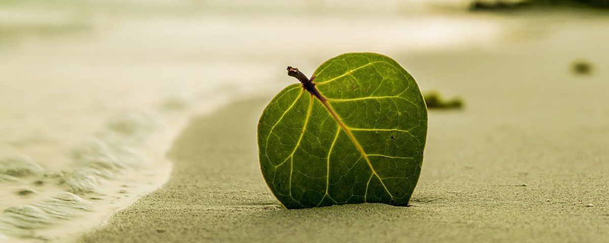 Biologisch voelde nog nooit zo goed