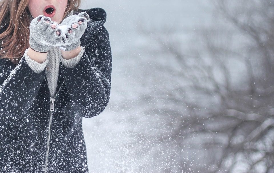 Hoe overleef ik de winter - Himalaya